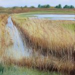 Marquanterre II - huile sur toile - 55x46 cm- 2025
